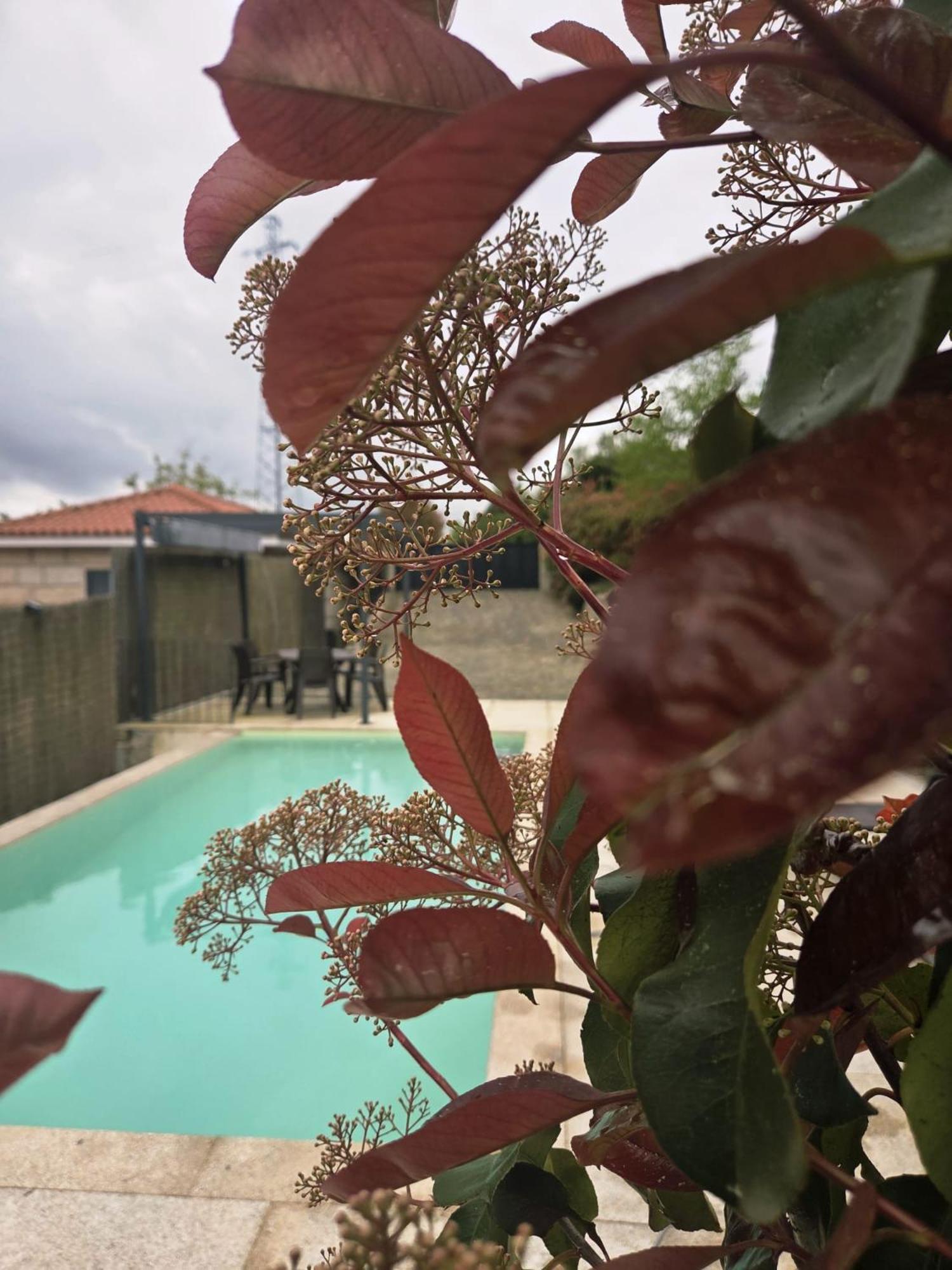 Casa Fraga Do Suadouro Βίλα Campo do Geres Εξωτερικό φωτογραφία